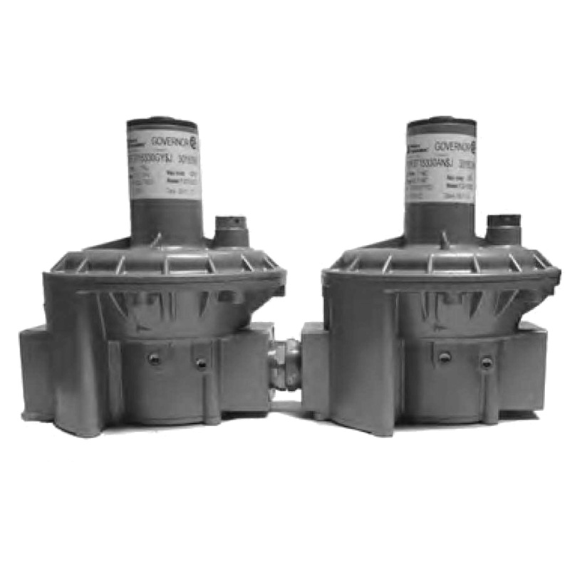 10 PSI Indoor/Outdoor Ventless