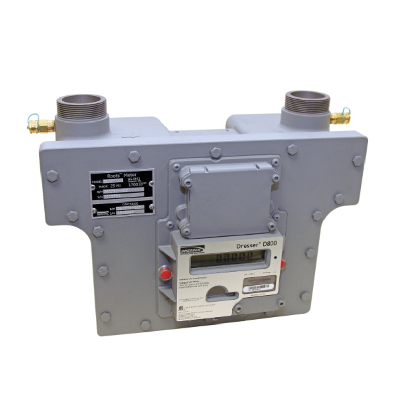 Series D800/D1000 Meter