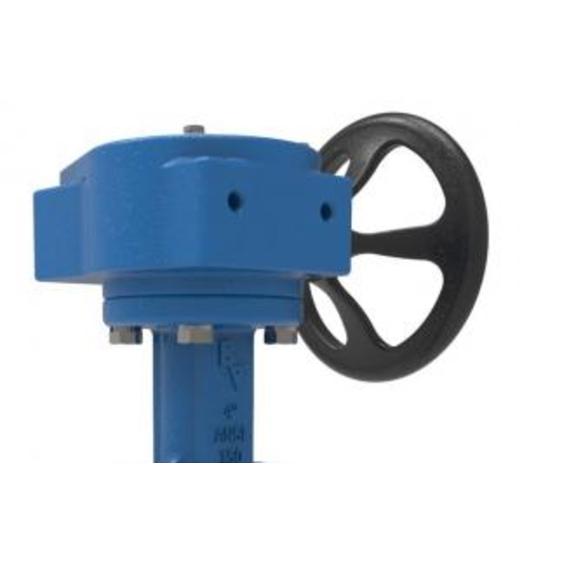 Gearbox to suit BV10 & BV12|2.00″ – 3.00″|4.00″ – 6.00″|8.00″|10.00″|12.00″|ANSI 150 Lugged & Tapped