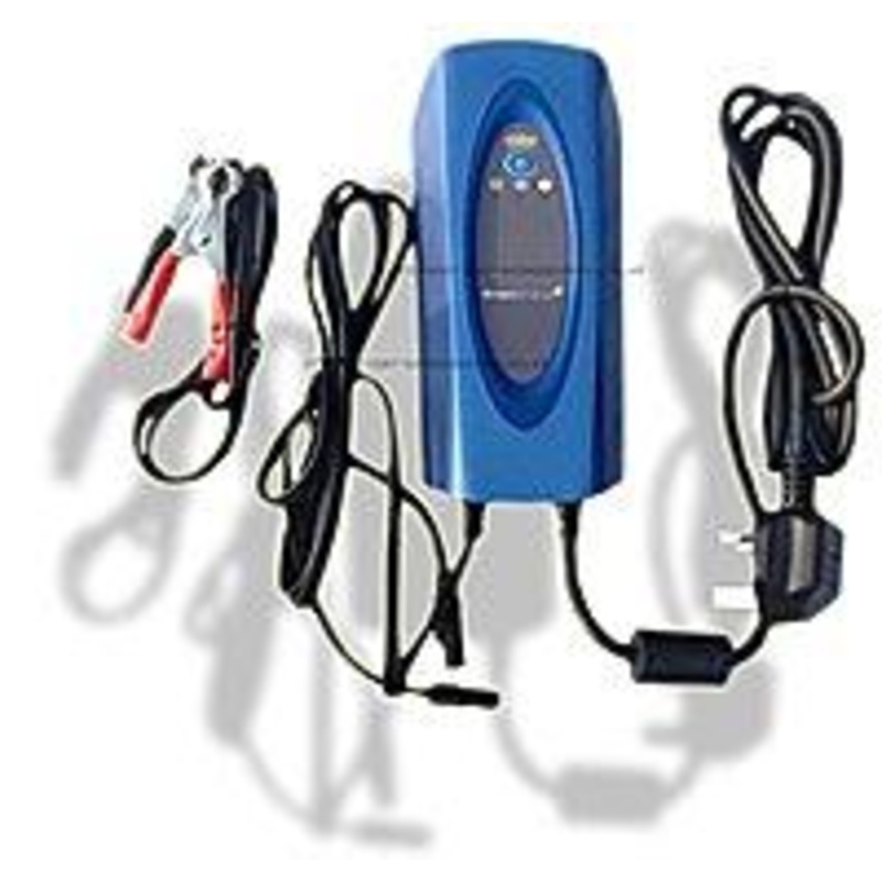 Ring Maintenance Smart 12V battery charger – CLO03