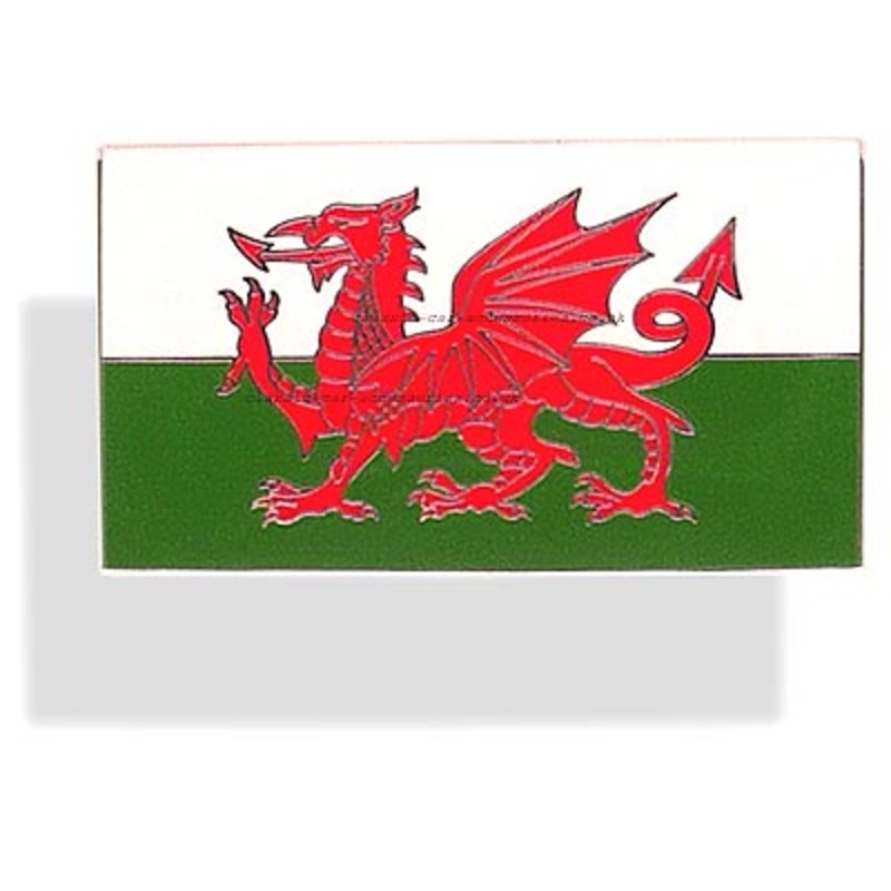 Welsh Dragon enamelled highly detailed  metal badge 51 x 29mm. Self adhesive – CXB02401