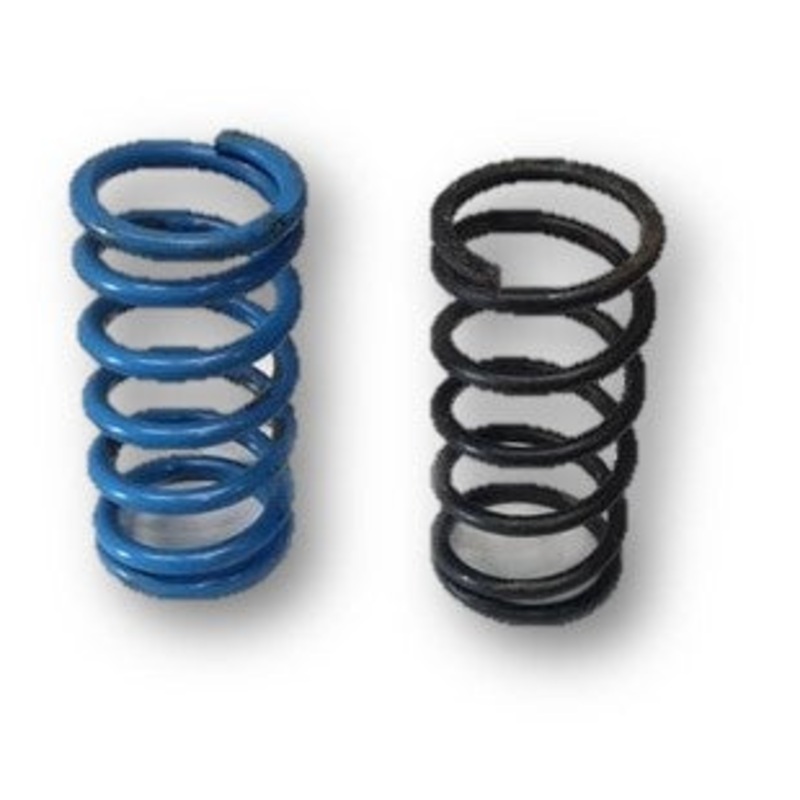 Itron CL34-2/CL38-2 Pilot Springs