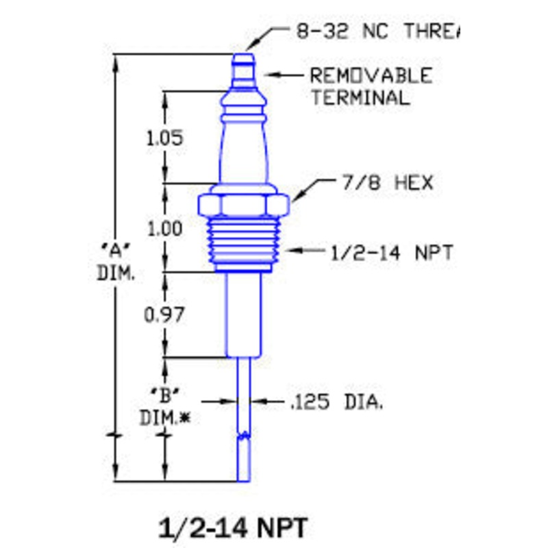 Flame Rod & Igniter R6132